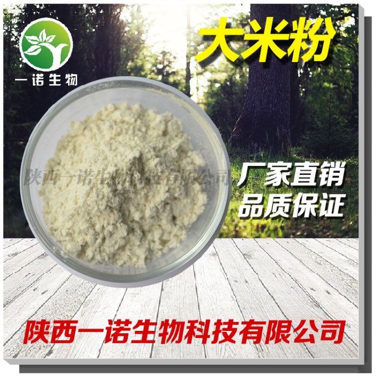 大米粉 膨化大米粉 粳米粉 批发供应熟大米粉 包邮 量大优惠