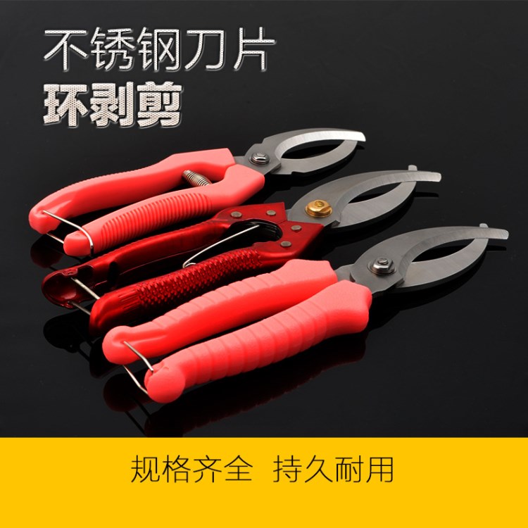 批發(fā)臺(tái)灣百吉利果樹(shù)環(huán)割剪刀 環(huán)割刀 環(huán)割剪 環(huán)剝剪 割樹(shù)皮剪刀