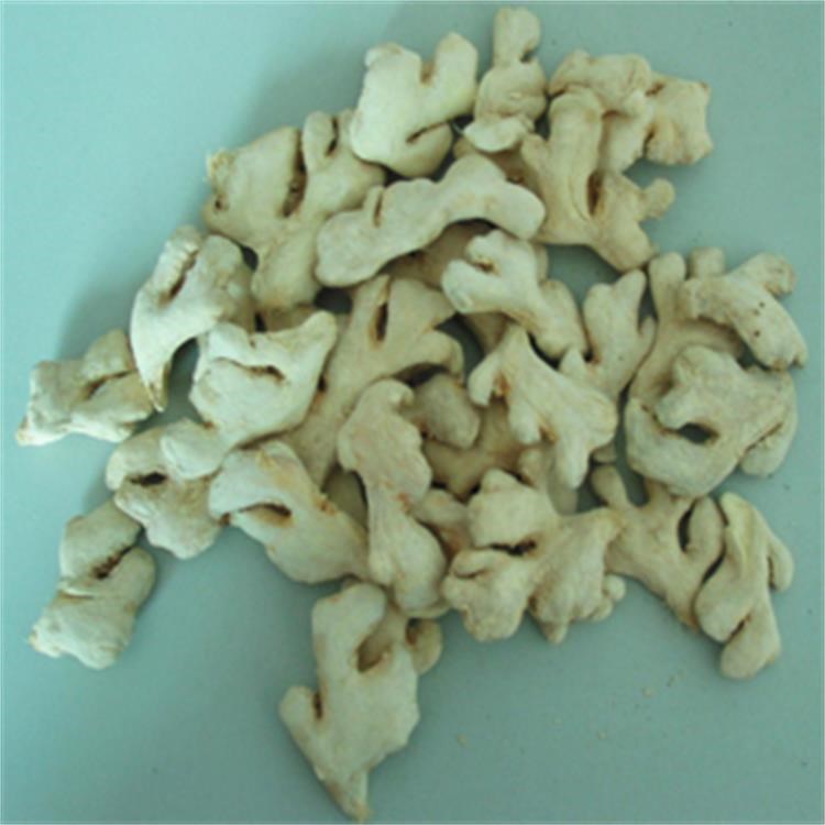 姜塊  廠家直銷AD姜塊一級(jí)品質(zhì)  黃皮姜無雜質(zhì)  味無添