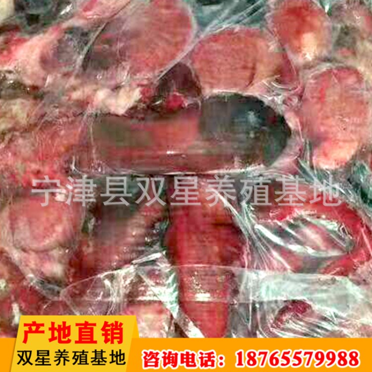 廠家直銷驢腿肉 生鮮批發(fā) 原生態(tài)現(xiàn)殺營養(yǎng)驢肉驢鞭冷凍新鮮