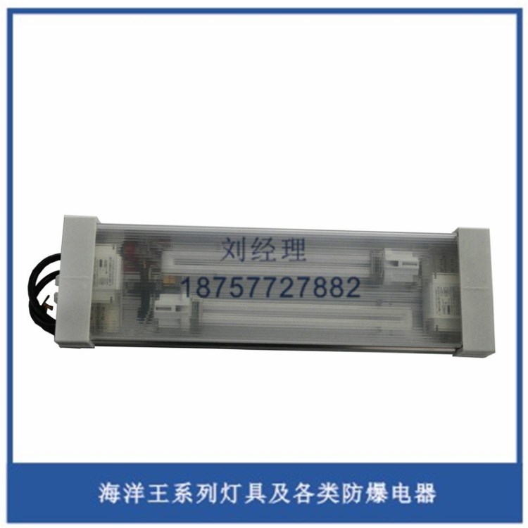 生產(chǎn)銷售NYC9321/CX防震方艙燈 雙管熒光燈 船用節(jié)能燈 雙管頂燈