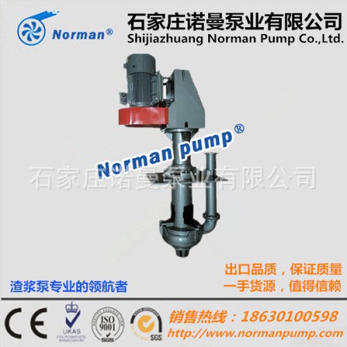 廠家直銷 100RV-SP立式離心式渣漿泵 粗顆粒離心泵 排污泵