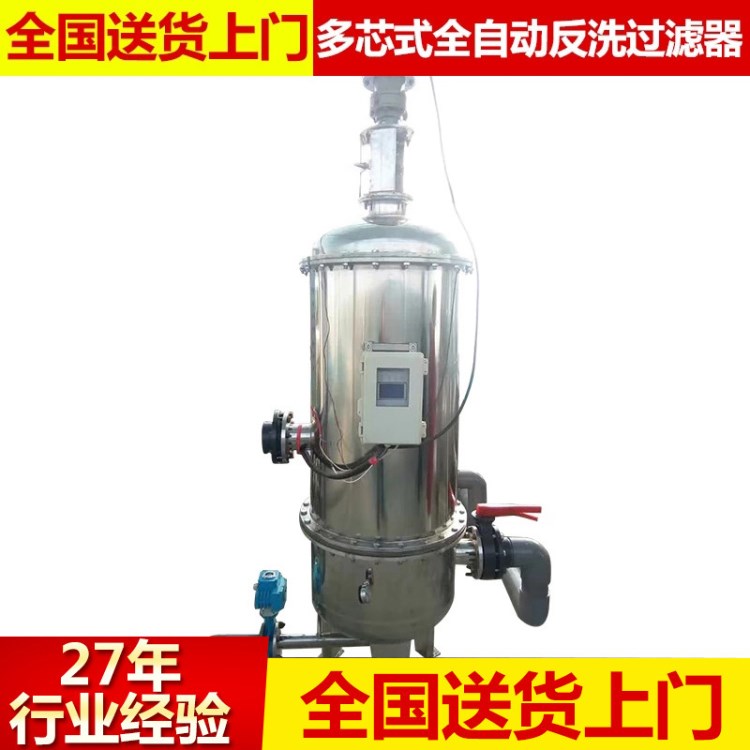 廠家直銷 多芯式全自動反洗過濾器 水處理精濾器