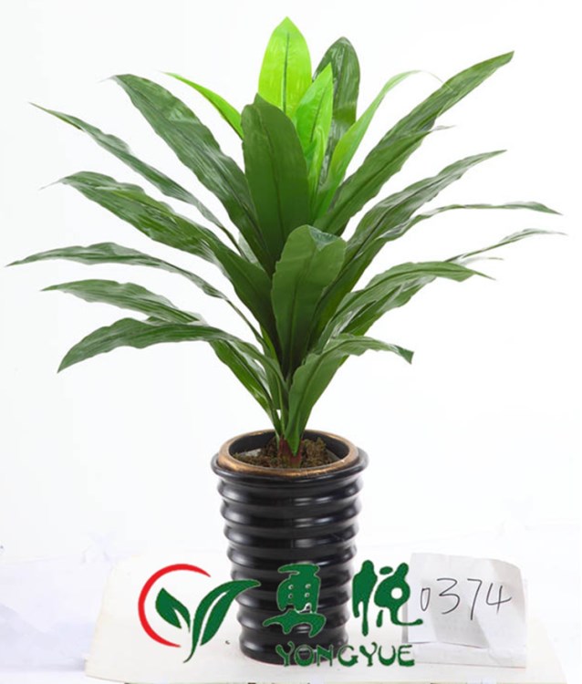 供應(yīng)仿真綠色植物盆栽木瓜、巴西鐵、裂口龜背綠蘿酒店賓館室內(nèi)假