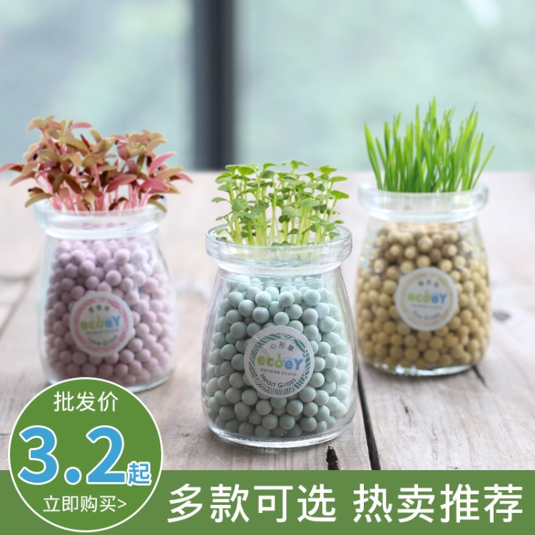 ECOEY迷你園藝室內(nèi)小盆栽創(chuàng)意禮品玻璃綠植盆栽禮品多肉盆栽批發(fā)