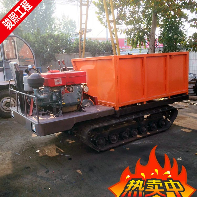雙杠履帶隨車吊定制 改裝工程直銷吊車 小型履帶農用車圖片