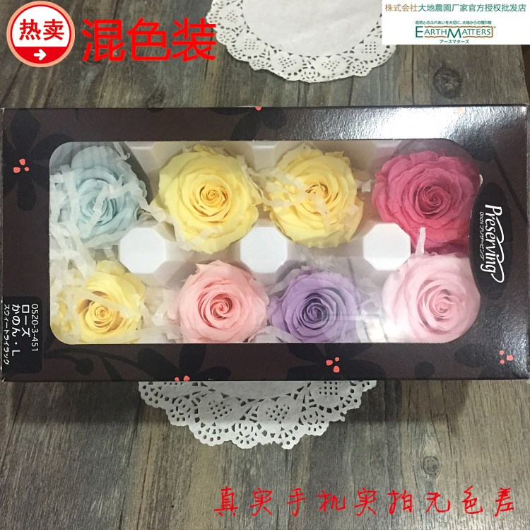 日本大地農園永生花保鮮花批發中號玫瑰DIY單朵05203混色4.5cm