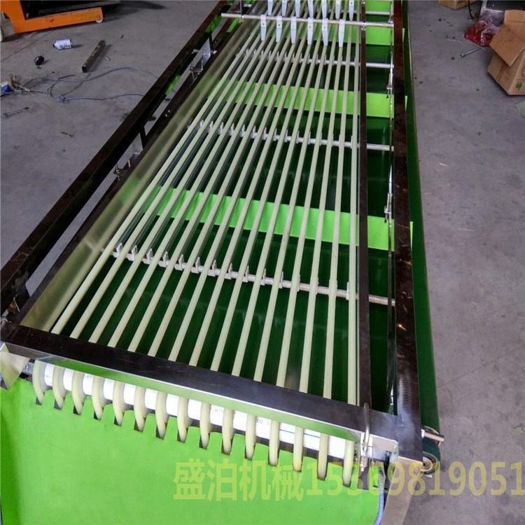 大型軌道式藍莓分級機 全不銹鋼304/201材質