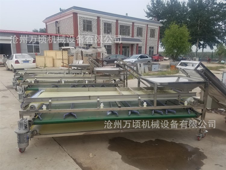 藍(lán)莓篩選機(jī)白蒲棗分級機(jī)棗子分選機(jī)