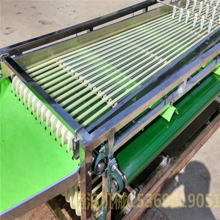 大型軌道式櫻桃番茄分果機 全不銹鋼304/201材質(zhì)