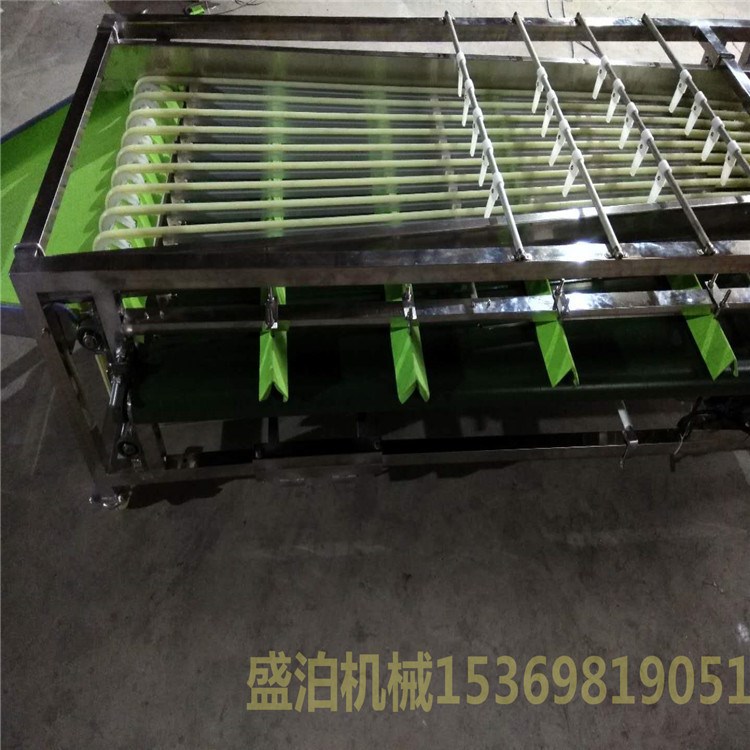 大型軌道式杏分級機 全不銹鋼304/201材質