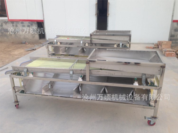 杏分級機廠家直銷