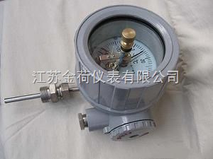 長期批發  防爆數顯顯示儀 防爆電接點雙金屬溫度計