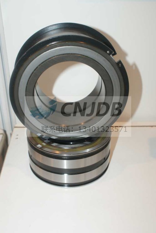 雙列滿滾子軸承 RS-5048NR SL04-5048PP