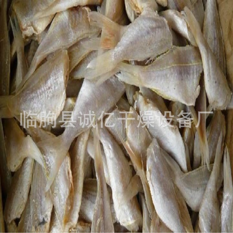 香辣魚烘干機(jī) 墨魚仔黃魚膠烘干箱 海鮮類烘干機(jī) 海產(chǎn)品烘干設(shè)備