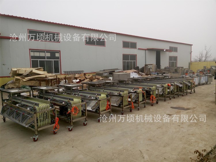 駿棗篩選機北棗分級機桃子分選機