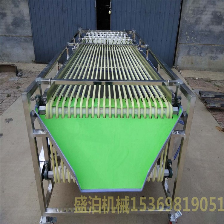 大型軌道式黃桃分揀機(jī) 全不銹鋼304/201材質(zhì)