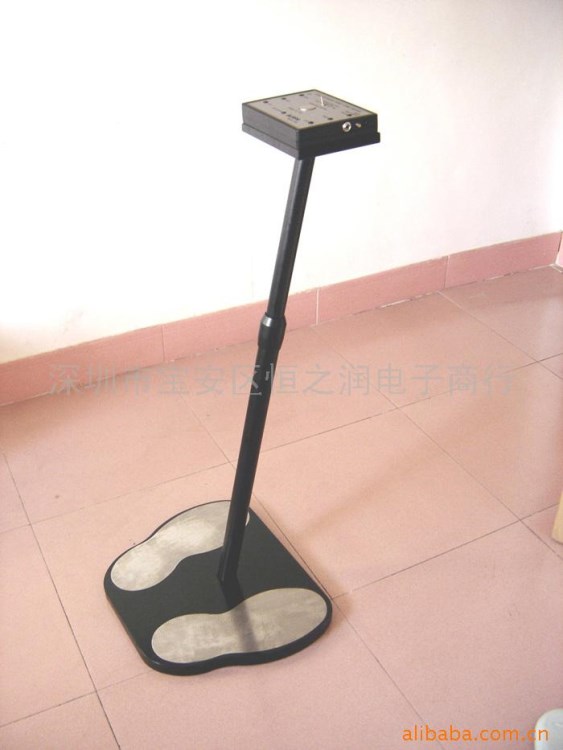供應6502雙腳式人體綜合測試儀(SURPA生產商）