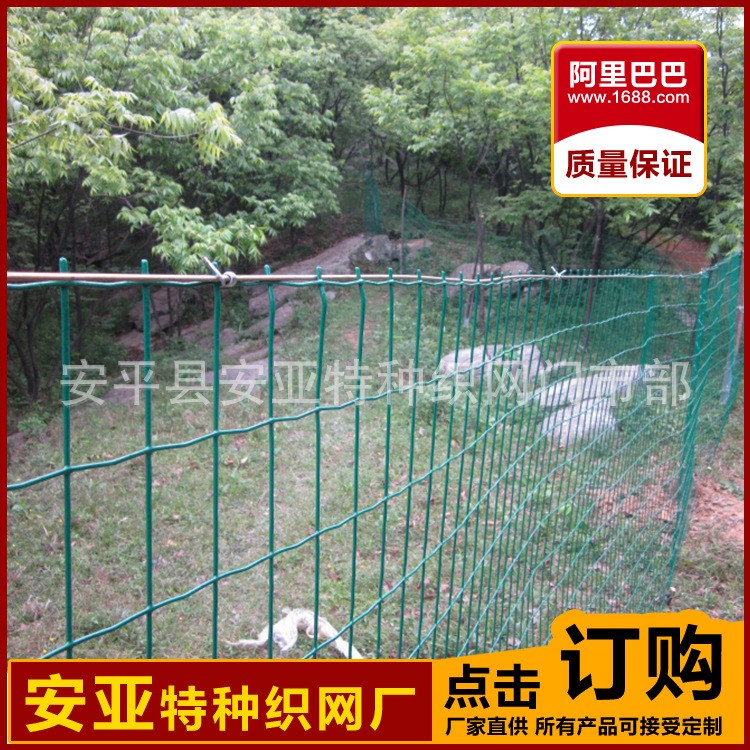 廠家批發波浪養殖網 侵塑荷蘭網 綠色圍欄網 圈地隔離網規格