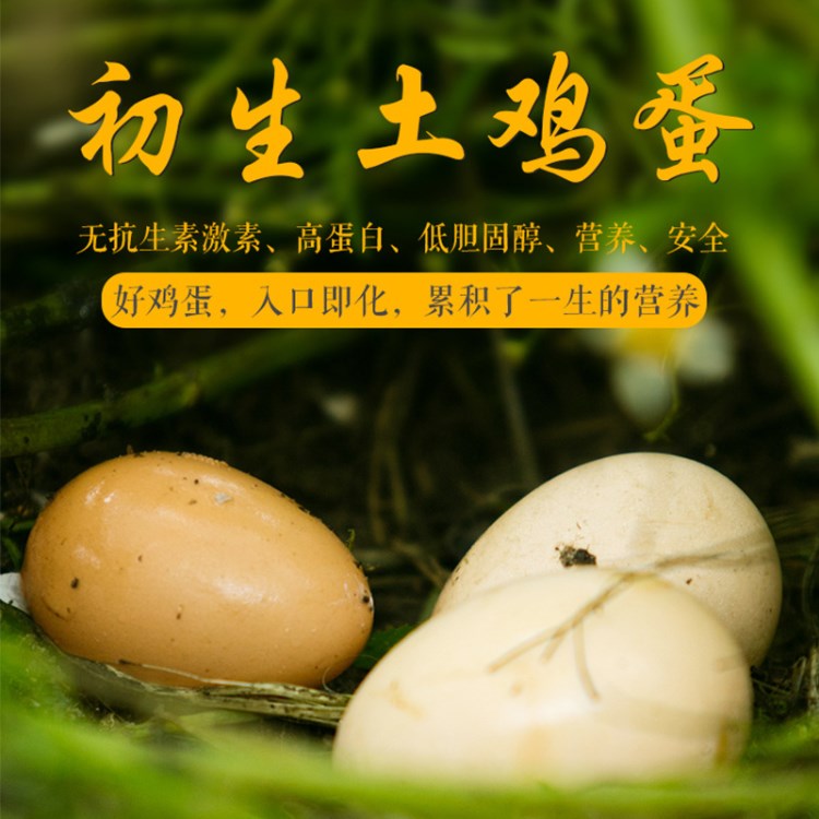 雞蛋 農(nóng)家散養(yǎng)土雞蛋禮盒裝60枚 初產(chǎn)蛋寶寶蛋 散養(yǎng)雞蛋 一件代發(fā)