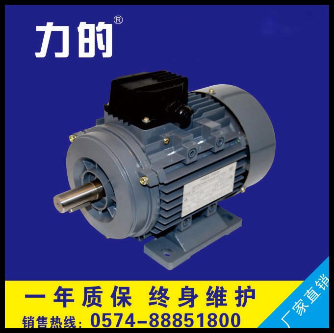 批發(fā)YS5634|AO2-5634|0.12KW電機(jī)|三相異步電機(jī)|小型電動(dòng)機(jī)