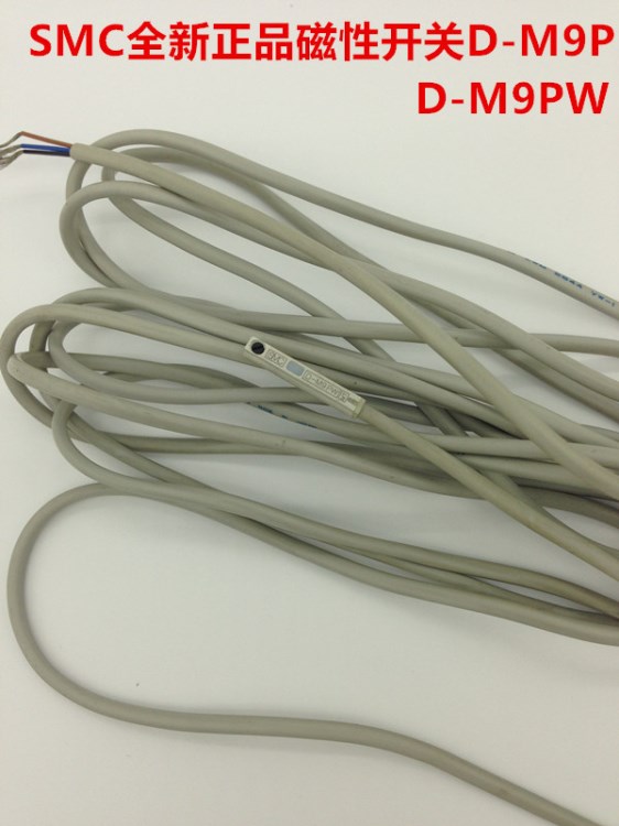 原裝SMC 磁性開(kāi)關(guān) D-M9P D-M9PW現(xiàn)貨 當(dāng)天發(fā)貨