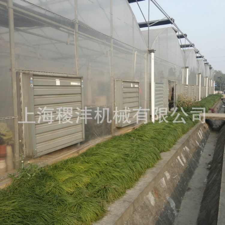 重錘式負(fù)壓風(fēng)機(jī) 低噪音負(fù)壓風(fēng)機(jī) 畜牧養(yǎng)殖負(fù)壓風(fēng)機(jī)