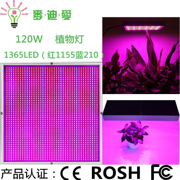 1365顆LED植物生長燈120W大棚方形植物生長補(bǔ)光燈多肉育苗燈