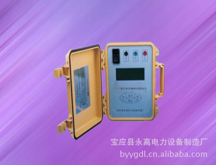 廠家直銷YGZC30數字高壓絕緣電阻測試儀（品質保障）