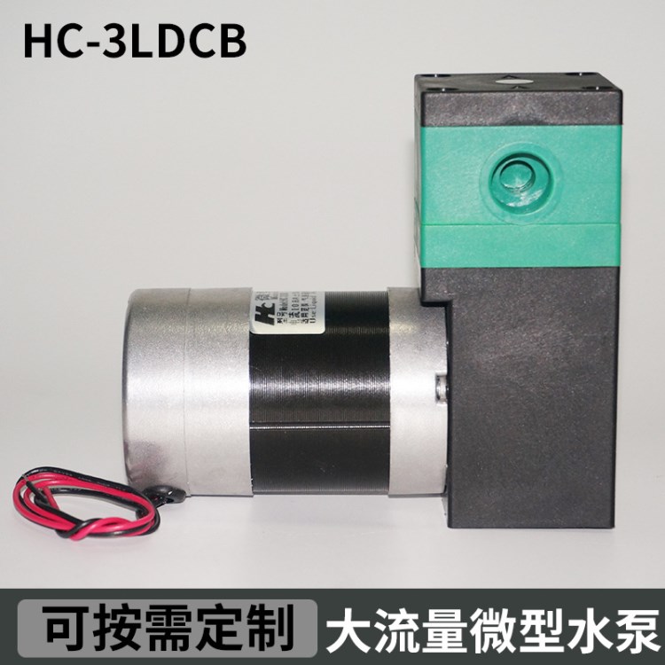 HC-3LDCB 大流量微型抽濾水泵 迷你微型水泵12v 大流量自動(dòng)自吸泵