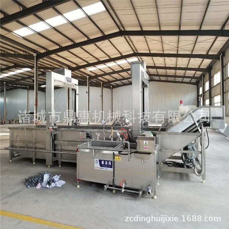 大型肉類解凍機(jī) 牛羊肉自動(dòng)解凍池 鴨舌鏈板式解凍機(jī) 廠家直銷