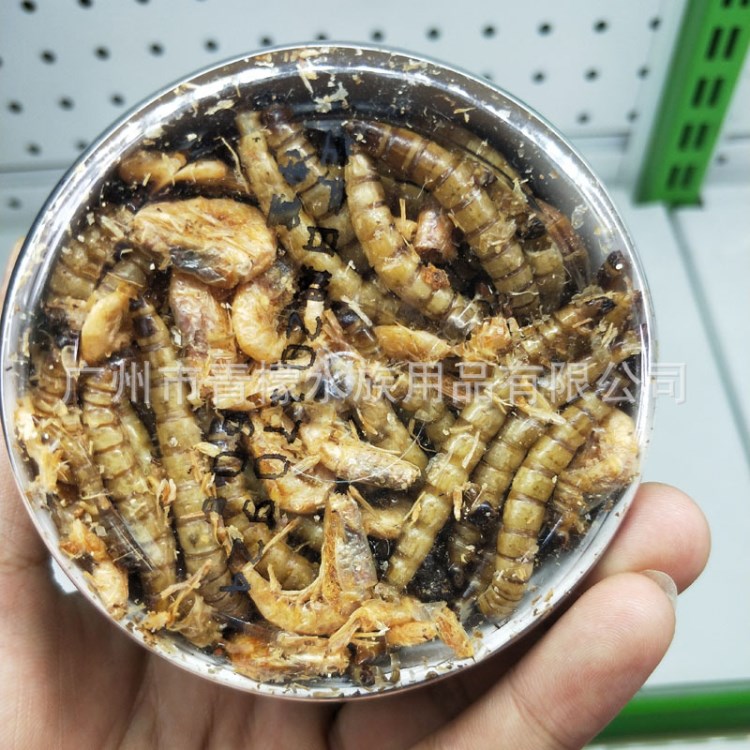 浪花SPRAY龍魚大型魚鸚鵡魚大麥蟲(chóng)面包蟲(chóng)干冷冬干燥85g/瓶