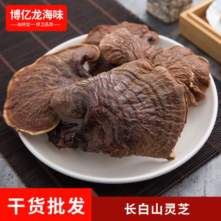 廠家直銷 長白山靈芝 中藥材養(yǎng)生食材  各種規(guī)格 現(xiàn)貨批發(fā)