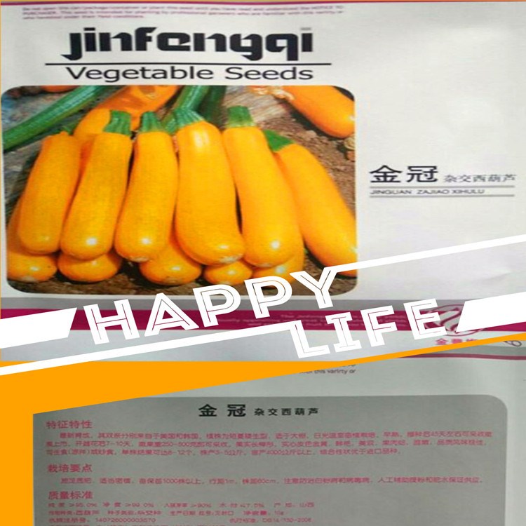 壽光菜博會黃金瓜 金冠西葫蘆種子可以生吃的西葫蘆特色稀有10克
