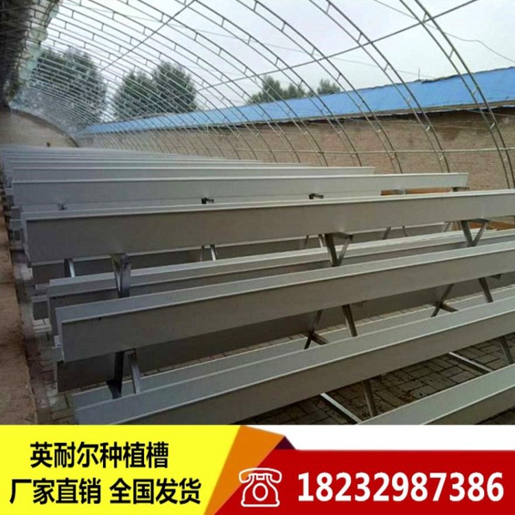 草莓立體種植槽 無(wú)土栽培槽支架 大棚草莓栽培槽 基質(zhì)槽批發(fā)