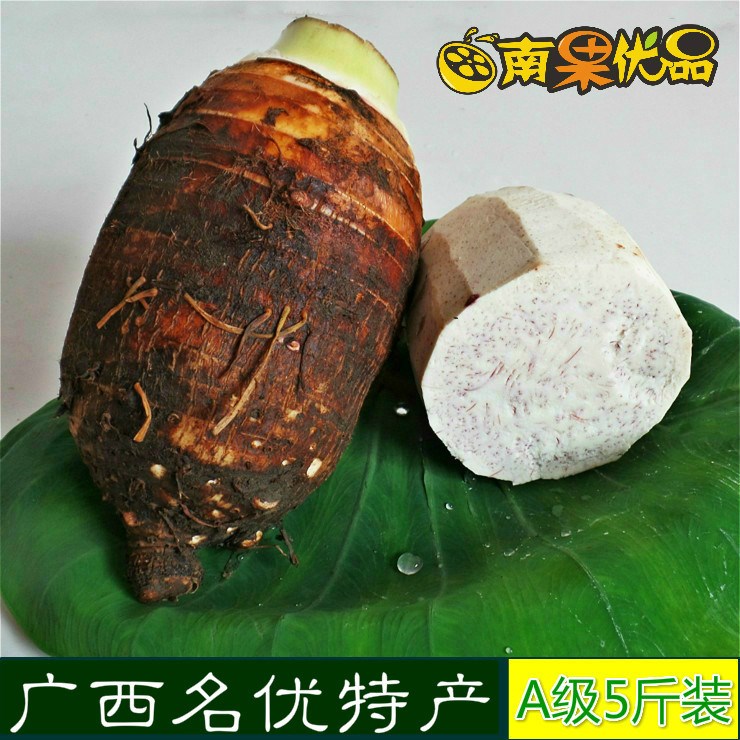 特級品5斤約2-3個廣西名優(yōu)特產(chǎn) 新鮮荔浦芋頭 香芋大量批發(fā)