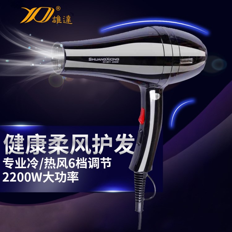 一件代發(fā)創(chuàng)意款220V二擋吹風機 大功率家用電器電吹風吹風筒批發(fā)