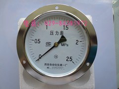 軸向帶邊壓力表Y-150ZT