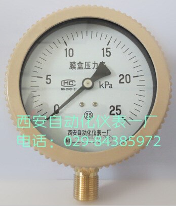 供應YE-100膜盒壓力表