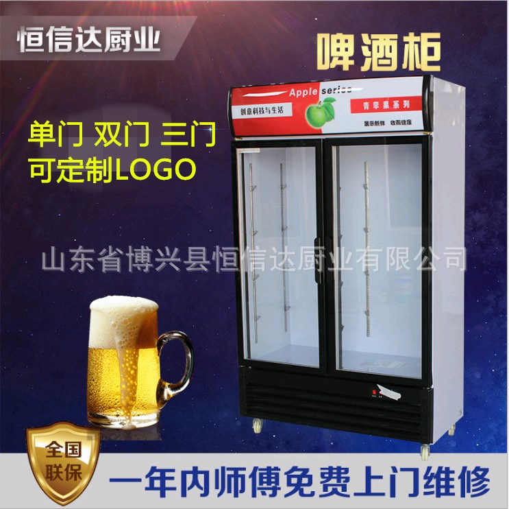 飲料柜啤酒柜立式冰柜商用展示柜冷藏單門雙門保鮮柜