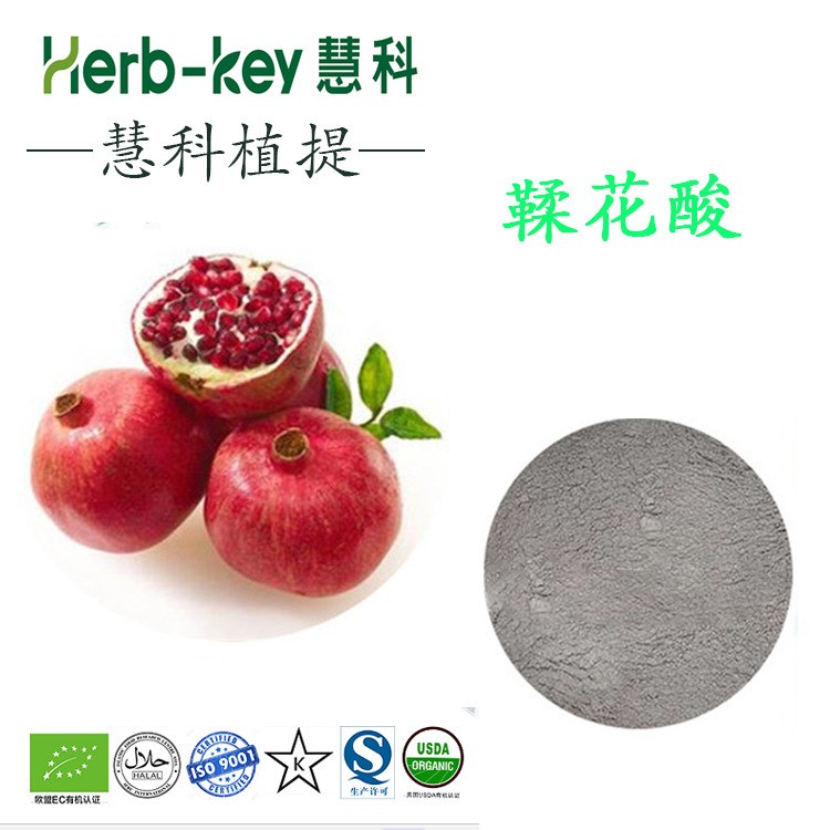 鞣花酸40%  陜西慧科 廠家供應(yīng) 現(xiàn)貨直銷 免費(fèi)包郵 石榴皮提取物