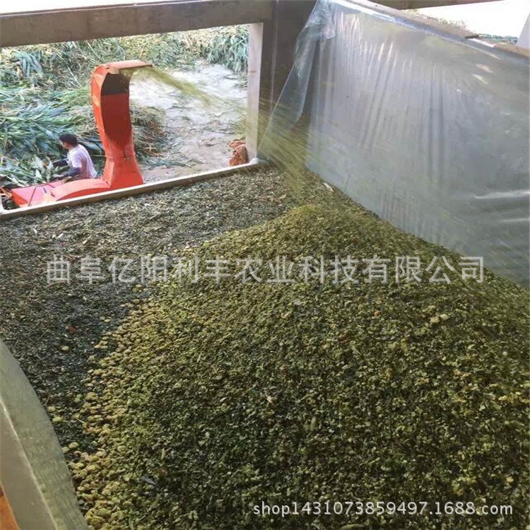 全自動(dòng)秸稈鍘草機(jī) 多功能秸稈鍘草機(jī)圖片