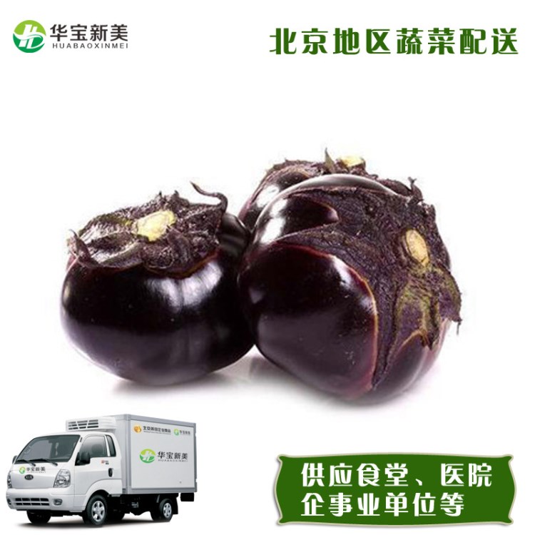 新鮮蔬菜 圓茄子 新鮮茄子 供應(yīng)食堂酒店學(xué)校企業(yè)公司北京配送