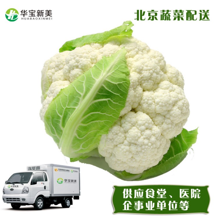 菜地直銷 菜花 新鮮蔬菜 專車配送 學(xué)校食堂酒店食堂蔬菜配送