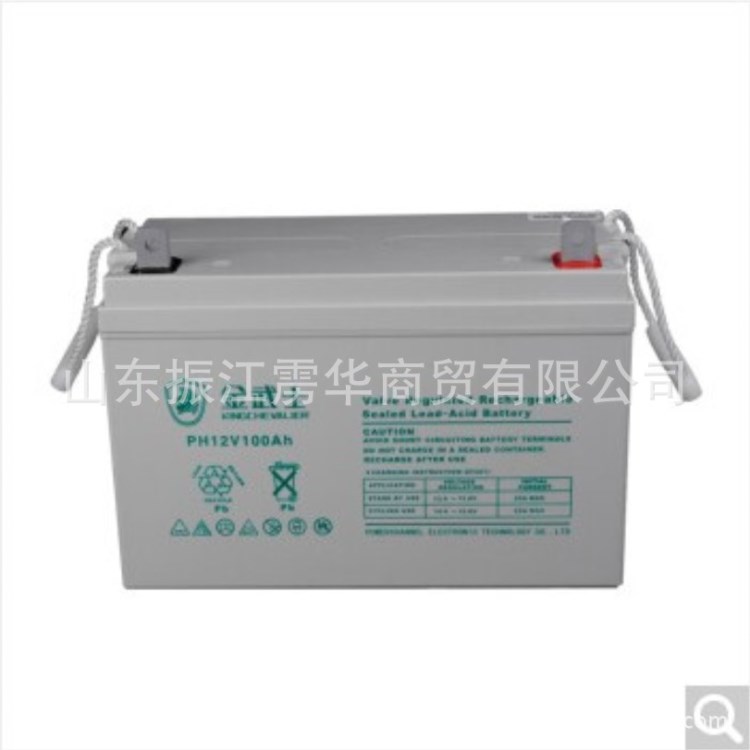 金武士UPS不間斷電源蓄電池12V100AH EPS電池直流屏免維護(hù)蓄電池