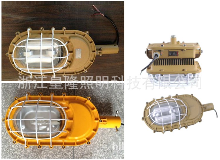 厂家直销节能防爆无极灯|磊石LSD(SBD)1101D-50W|防爆无极灯报价