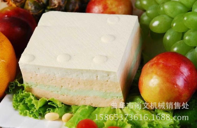 推薦小型全自動豆腐機 多功能花生豆腐機 電氣兩用豆腐機