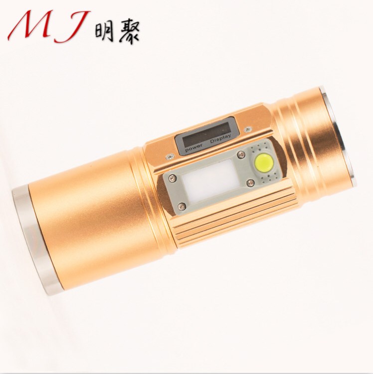 LED強(qiáng)光多光源w213-1帶驅(qū)蚊功能可充電變焦釣魚(yú)燈夜釣燈藍(lán)白光