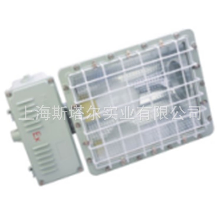 防爆泛光燈外露緊固件采用高防腐性能不銹鋼材質(zhì)
