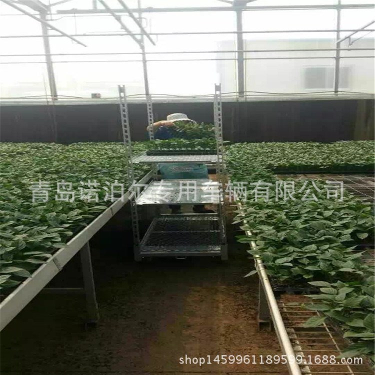 批量生產手推式育苗周轉車 焊接網CC花車 熱鍍鋅多肉育苗車